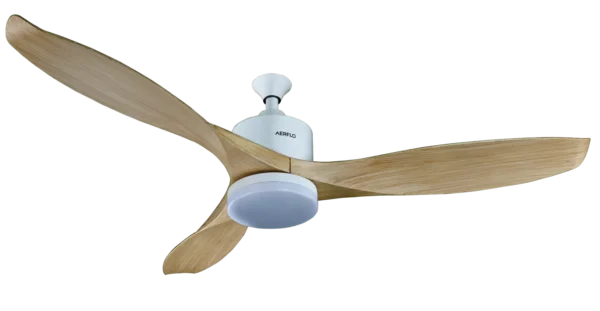 Modern Decorative Ceiling Fan