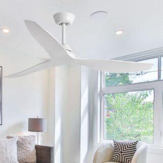 Modern Ceiling  Fan