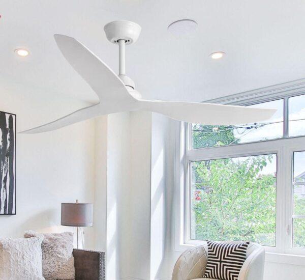 Modern Ceiling  Fan