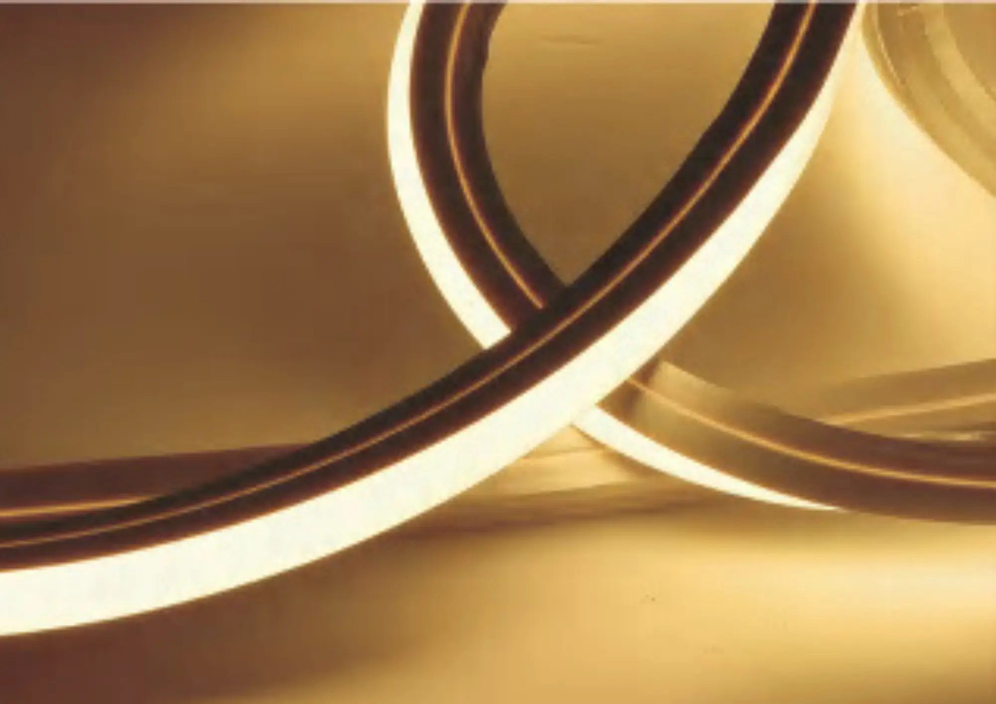 LED Neon Light IP65/IP66/IP67 – Flexible & High-Performance Lighting Solution - Image 4